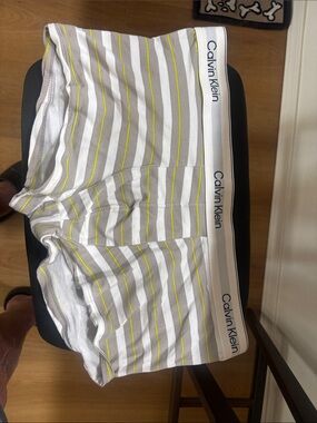 Calvin Klein Gray, White & Yellow Striped Boxer Briefs